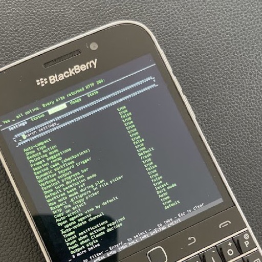 The corner of a BlackBerry Classic, its screen showing green terminal text.